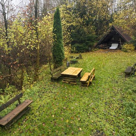 Truth Ruhe Oase, Naturblick, Smart Tv, Terrasse Brilon Bagian luar foto